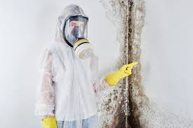 Best Residential Mold Inspection & Testing  in Lake Erie Beach, NY